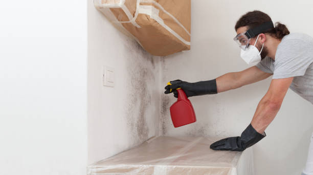 Professional Basement Mold Remediation technician working in Watsontown, PA