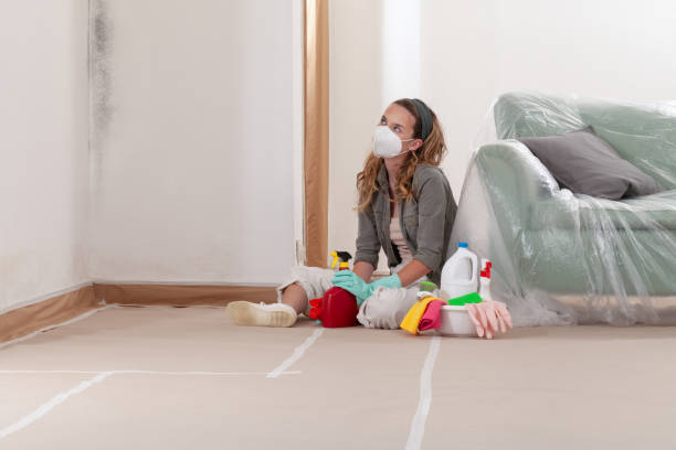 Reliable Basement Mold Remediation contractor in Watsontown, PA by WQB Mold Removal